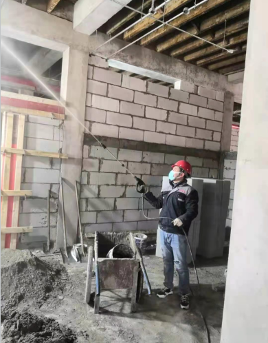 房屋白蚁装修防治