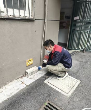 室外老鼠消杀