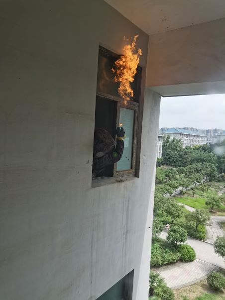 除马蜂窝